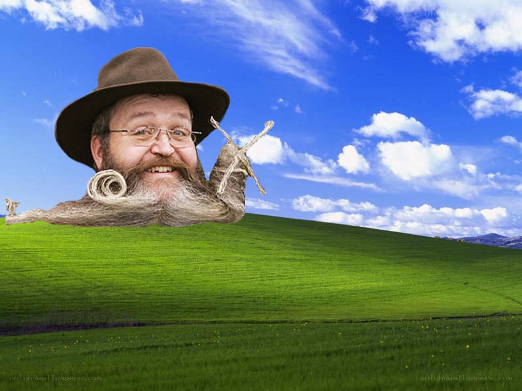 man with long beard in field