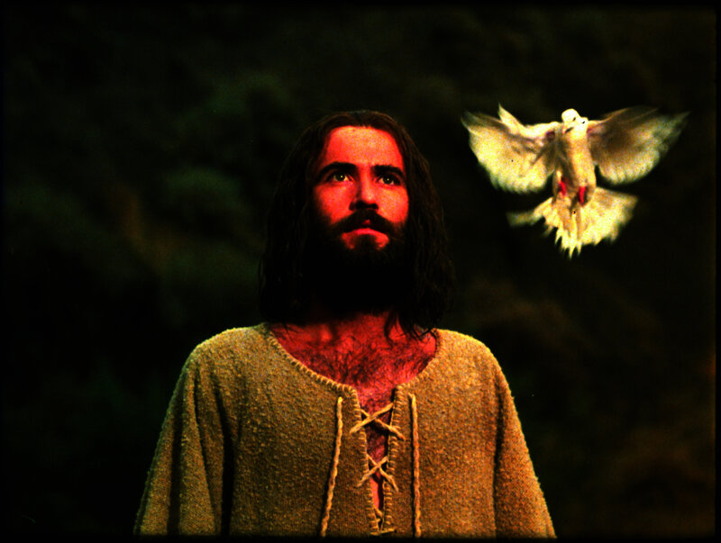 Man with Long Hair and Beard — Brown, Dramatic