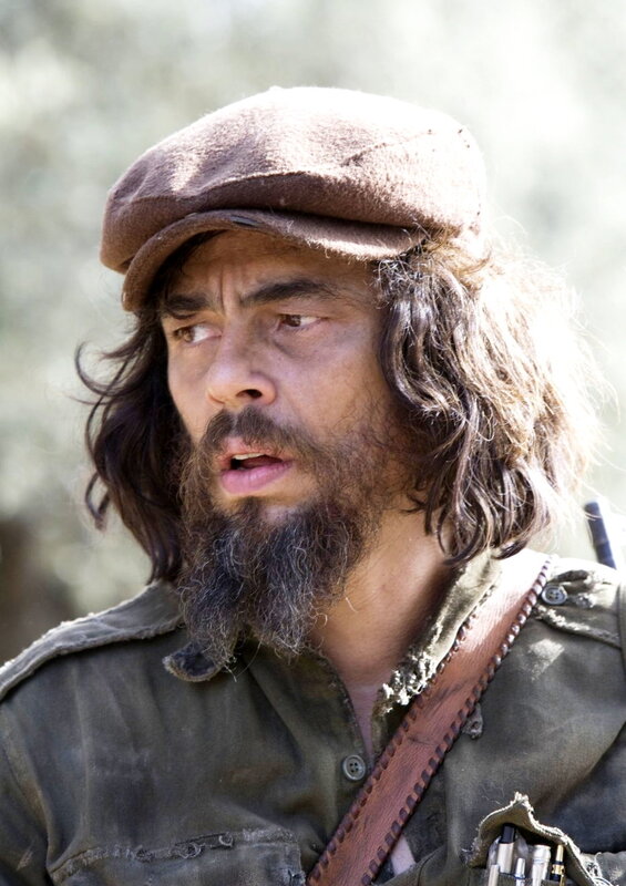 Man with Long Hair and Beard — Brown, Serious
