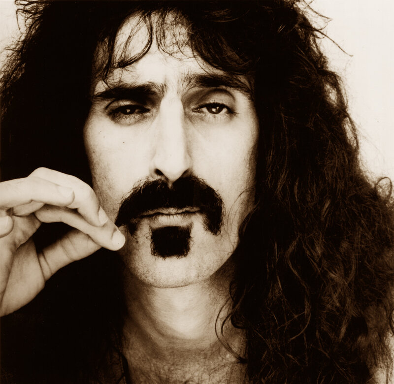 man with long hair and mustache