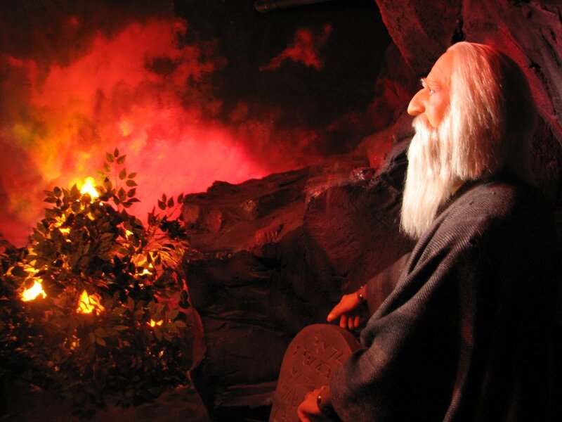 Man with Long White Beard