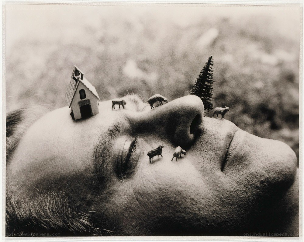 Man with miniature farm on face