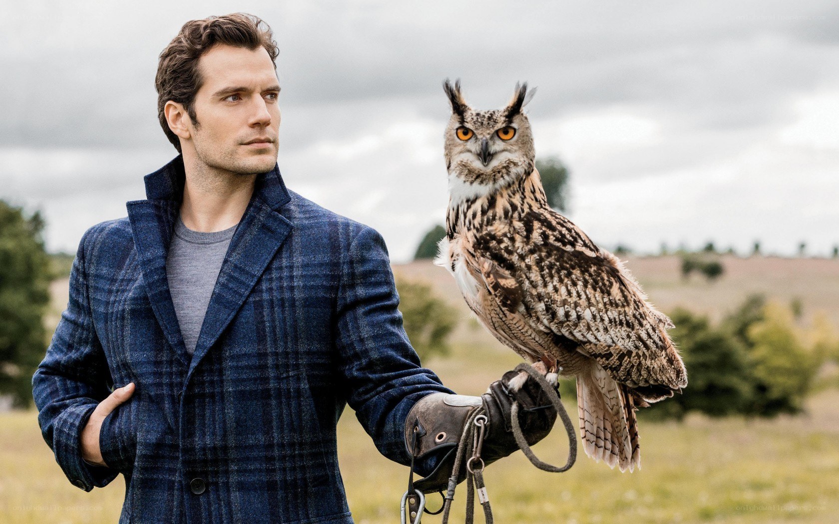 man with owl on arm