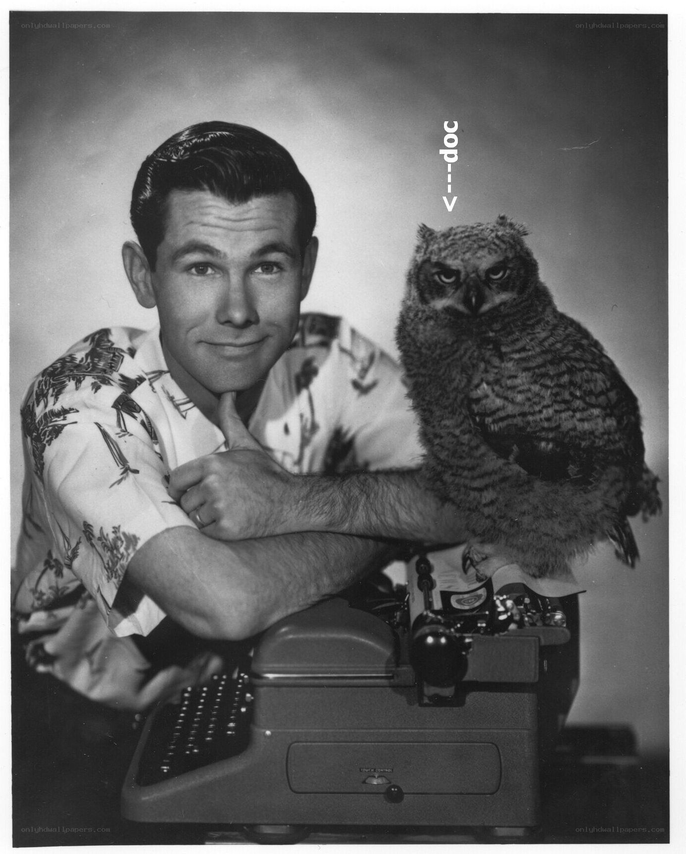 Man with owl on typewriter