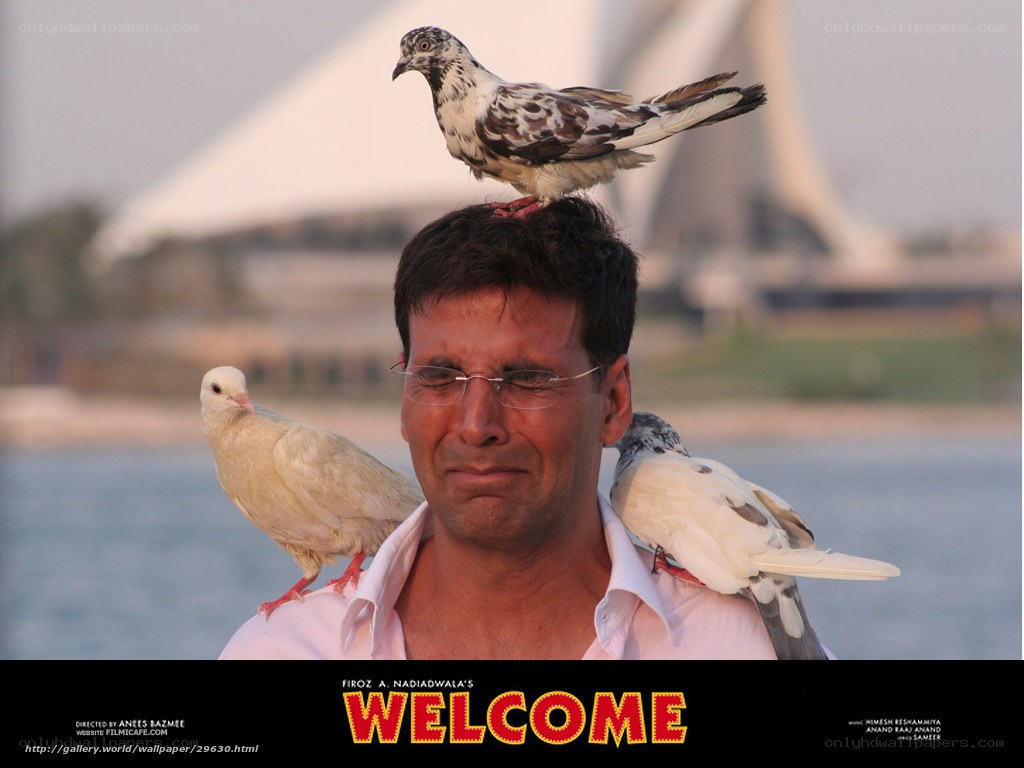 man with pigeons on shoulders