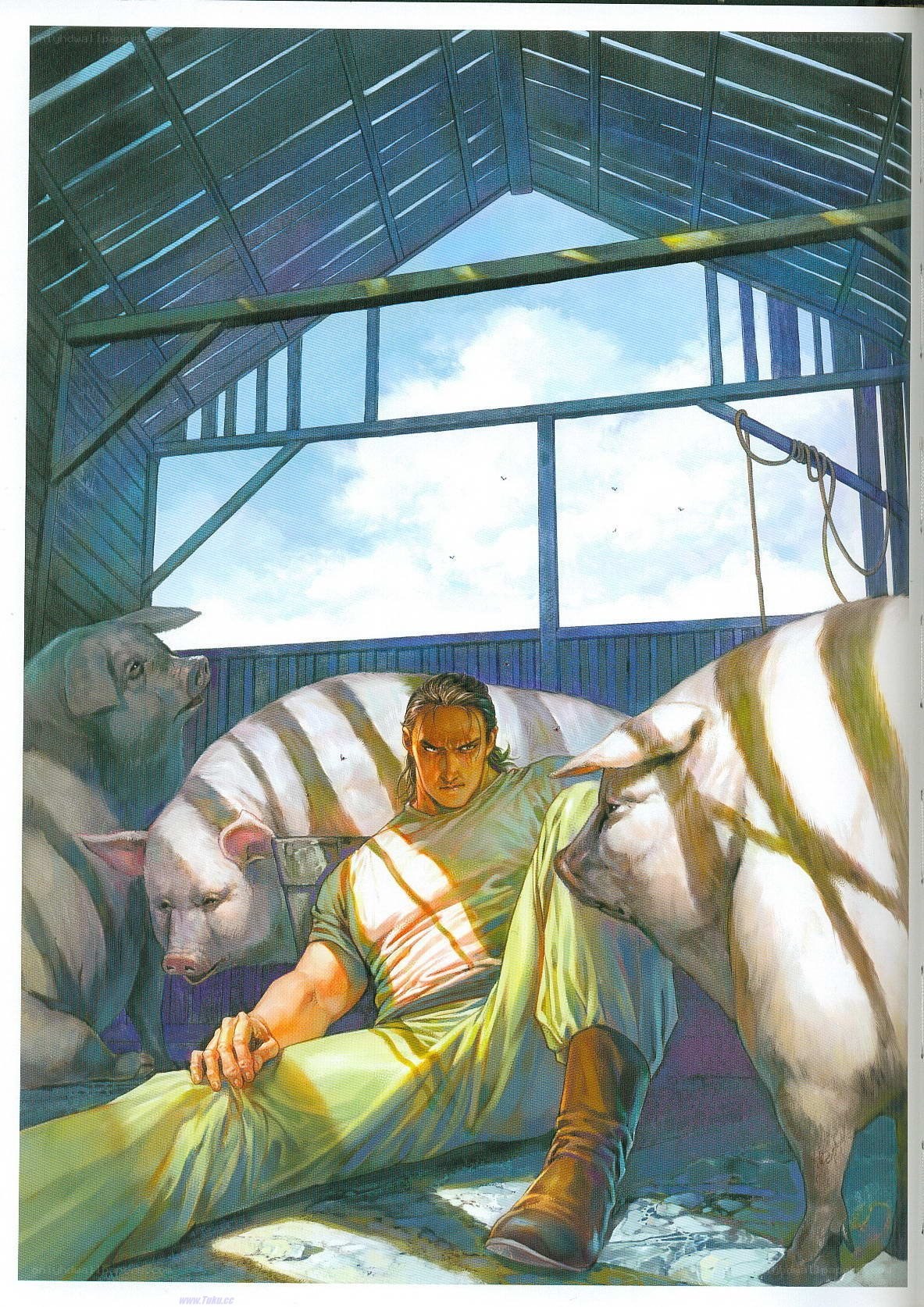 Man with pigs in a barn