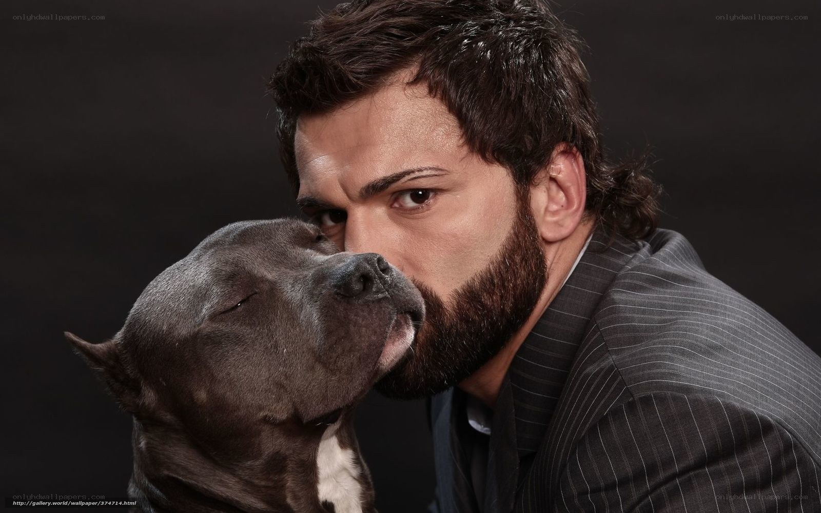 man with pitbull dog