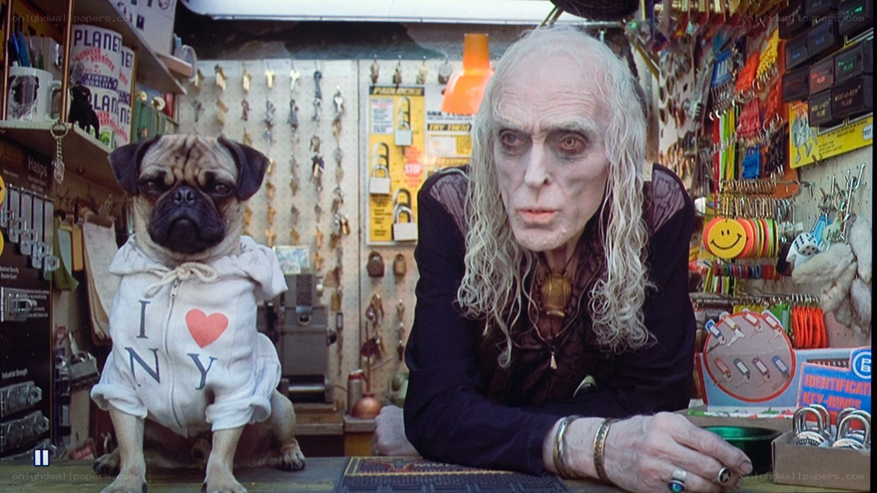 man with pug dog in shop