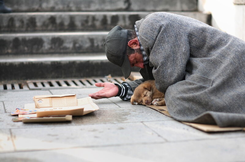 Man with Puppy on Street