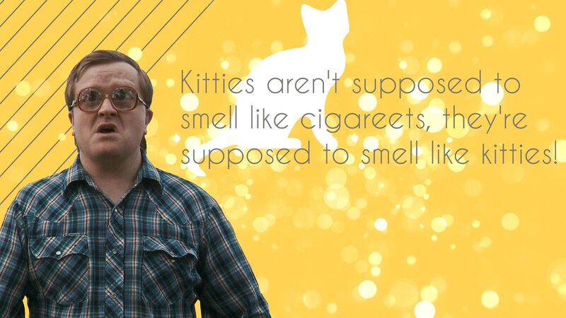 man with quote about kittens