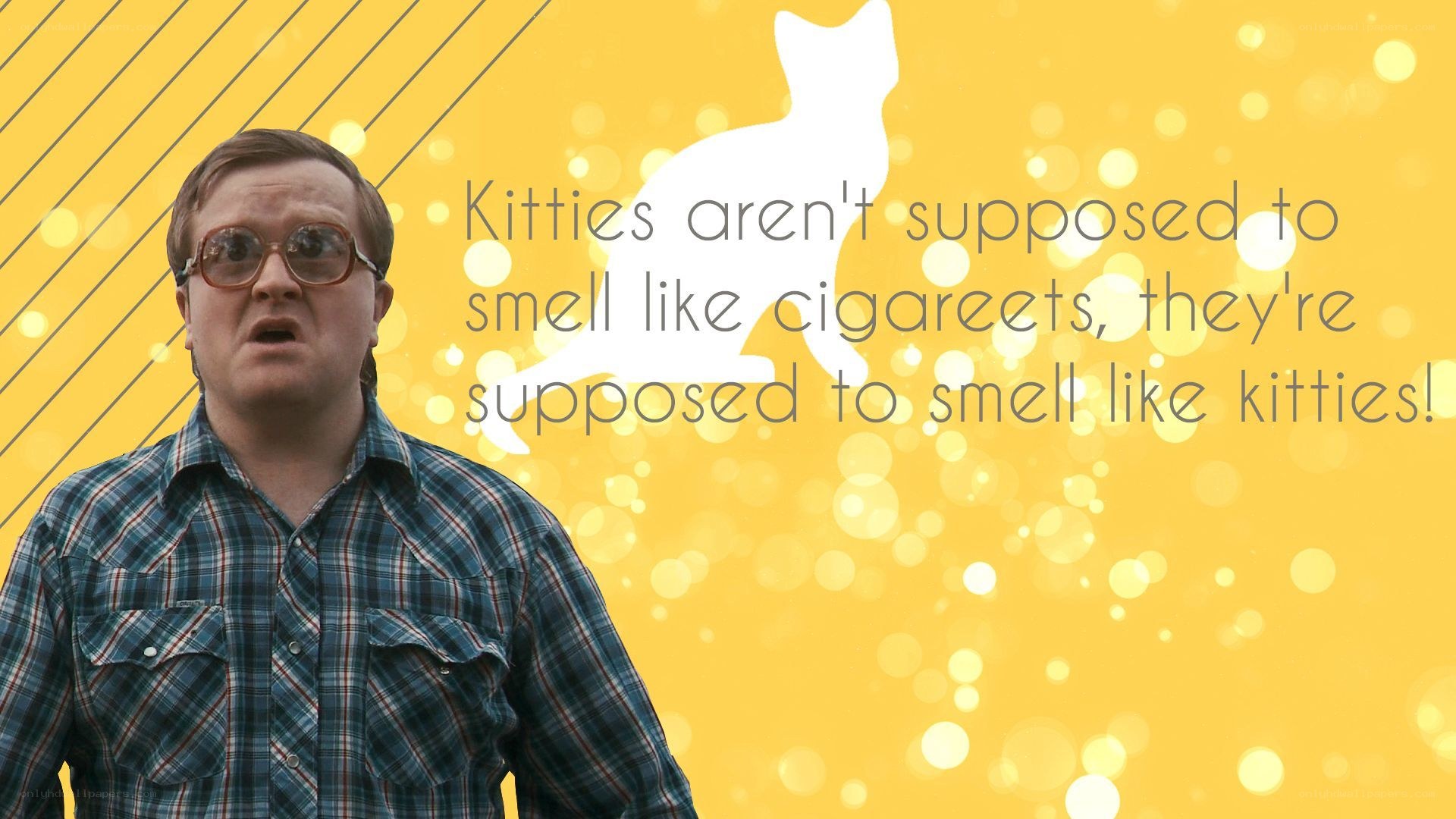 man with quote about kittens