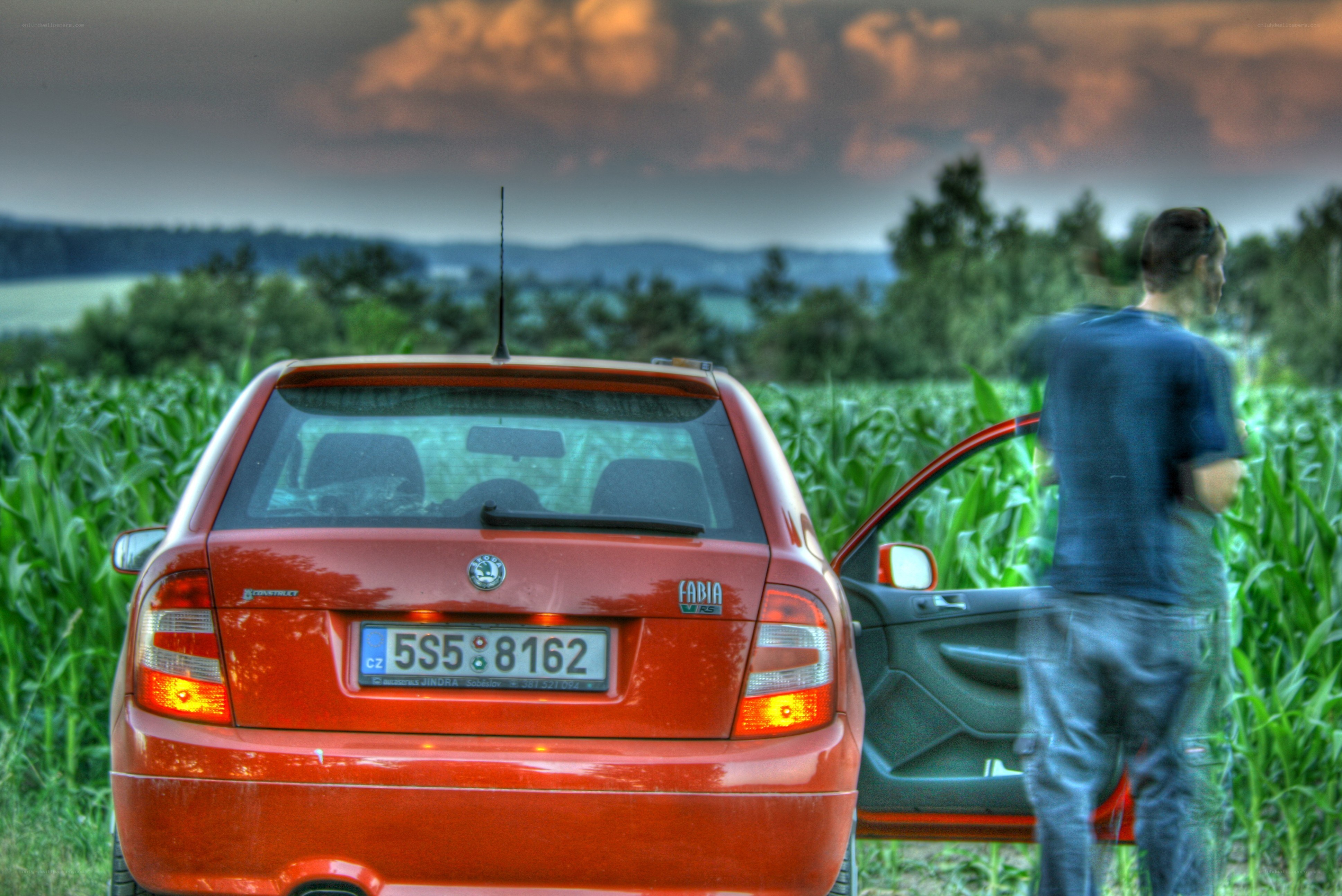 Man with red car in cornfield