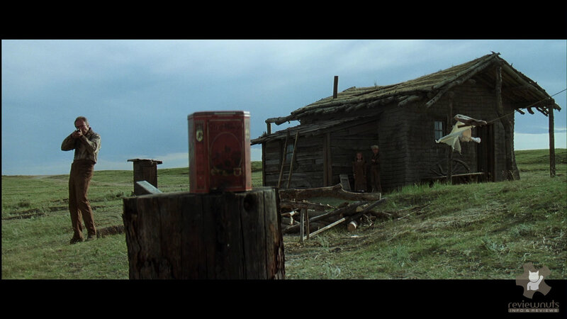Man with rifle near cabin