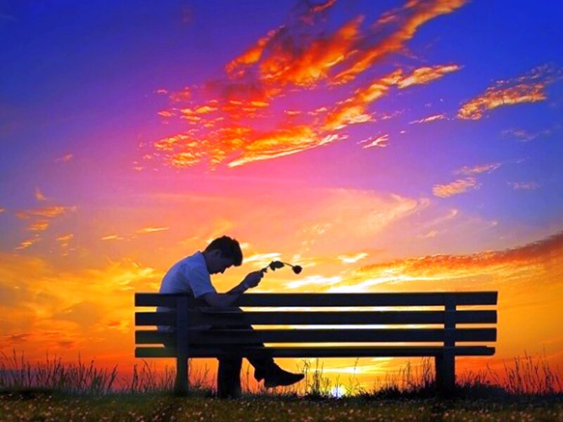 Man with rose at sunset