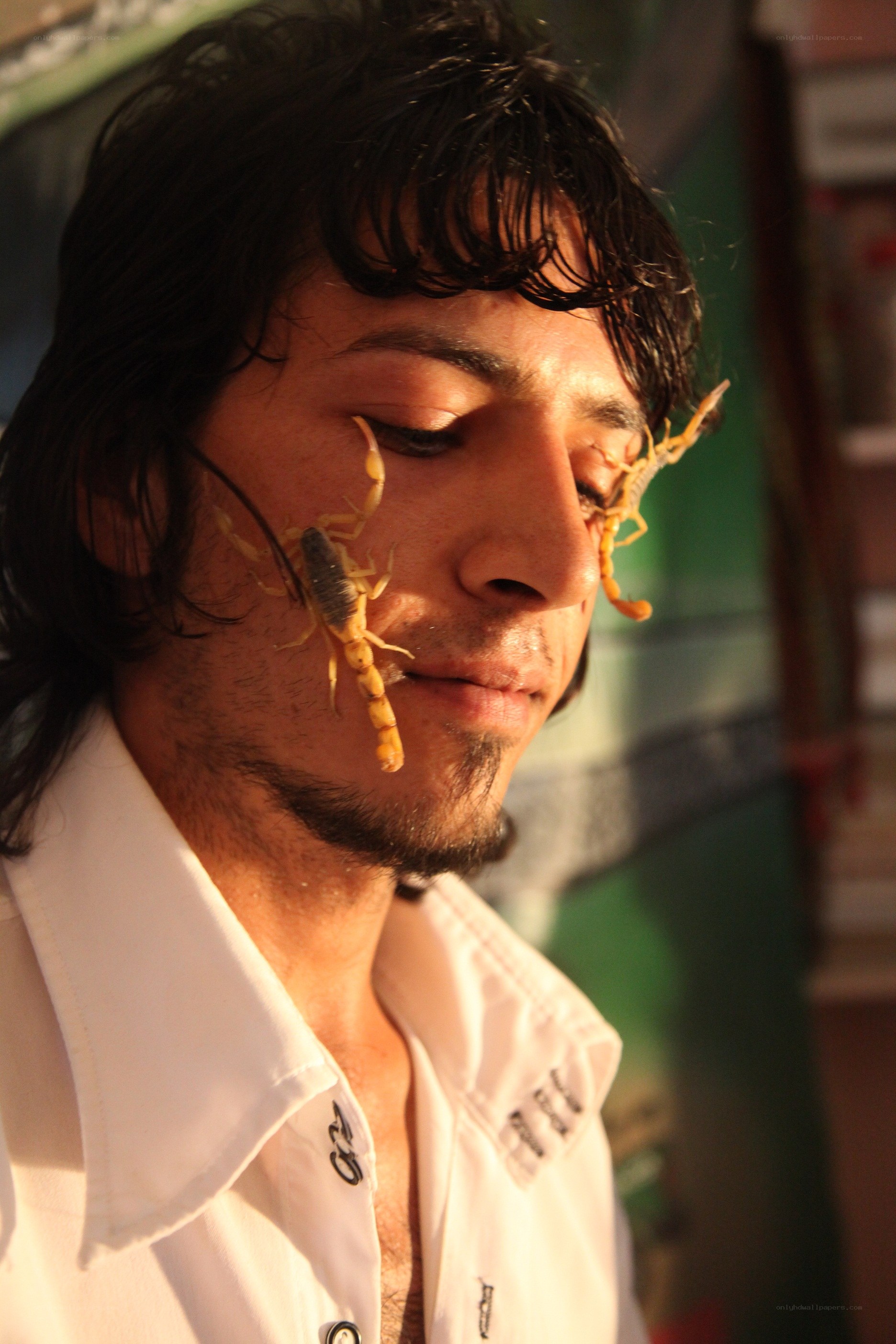 man with scorpions on face