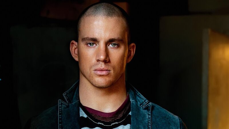 Man with Shaved Head — Black, Serious, Photograph, Jacket