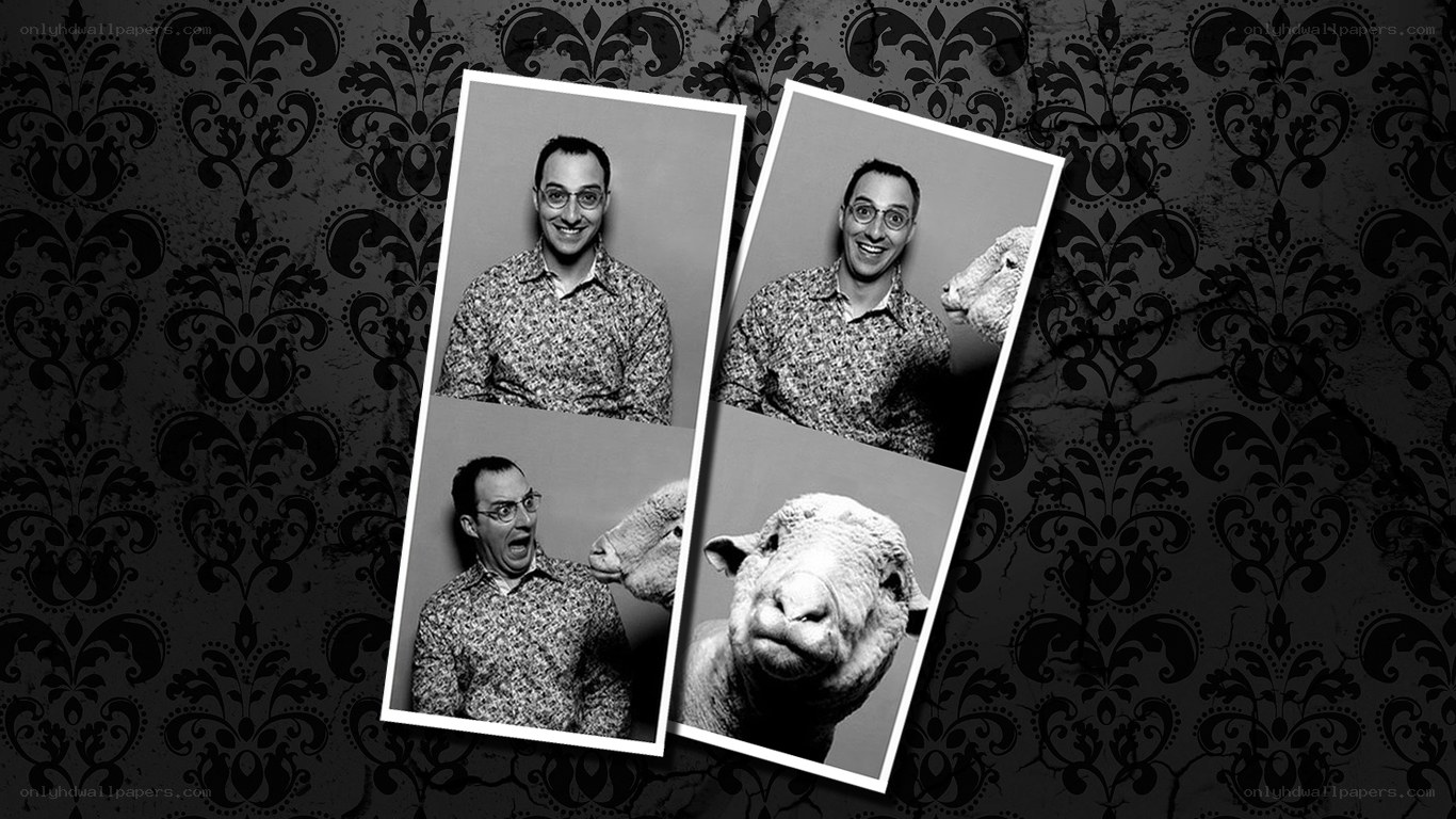 man with sheep in photo booth