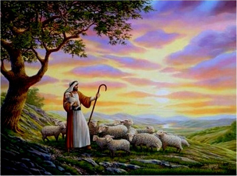 Man with Sheep — Purple