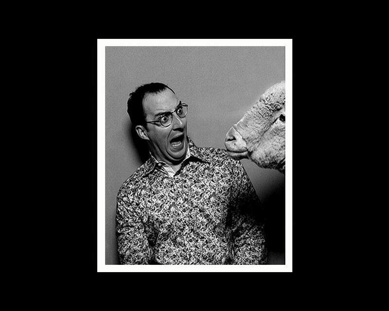man with shocked expression next to sheep
