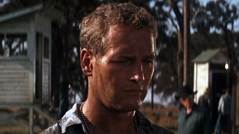 Man with Short Hair — Brown, Serious, Afternoon