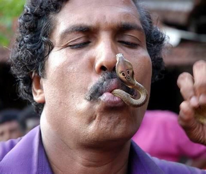 Man with Snake on Face
