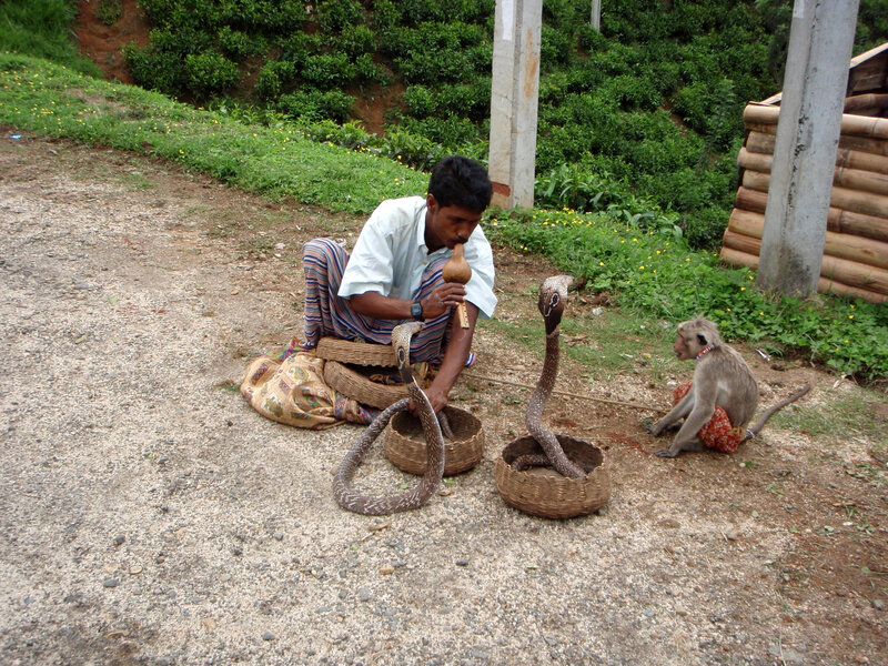 Man with Snakes and Monkey