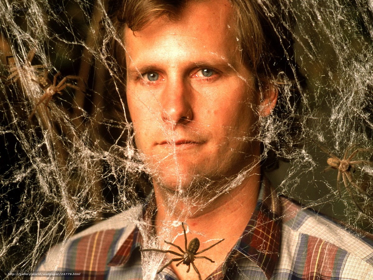 Man with spiders on cobweb