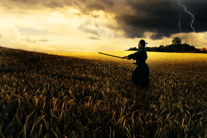 Man with Sword in Field