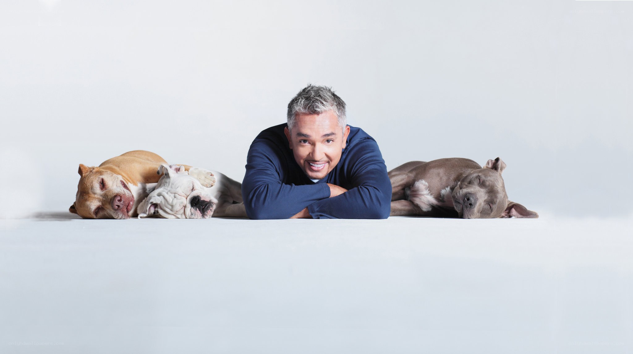 man with three dogs