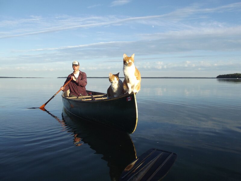 Man with Two Cats in Canoe