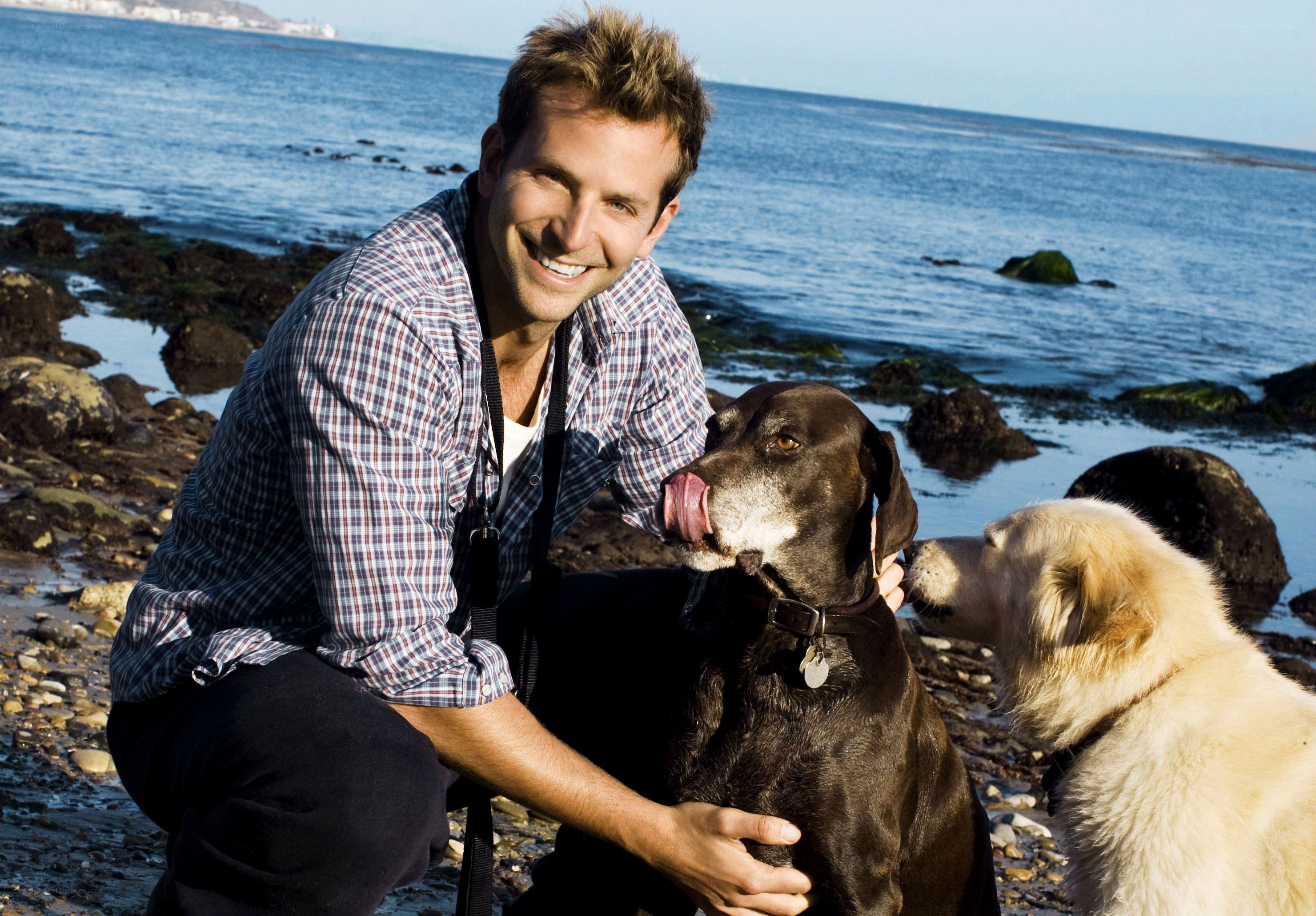 Man with two dogs at the beach