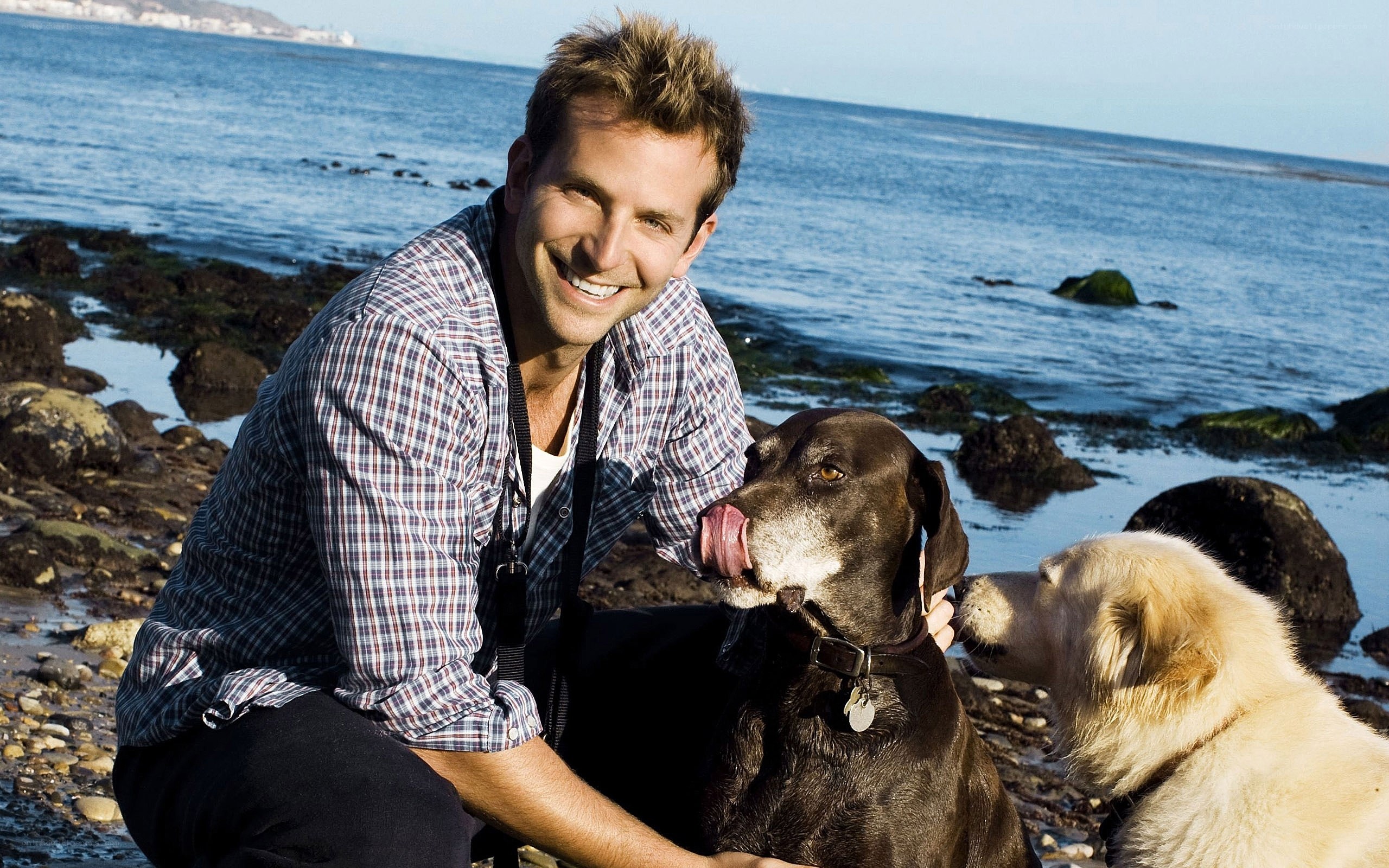Man with two dogs at the beach