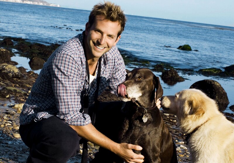 Man with Two Dogs — Blue, Happy