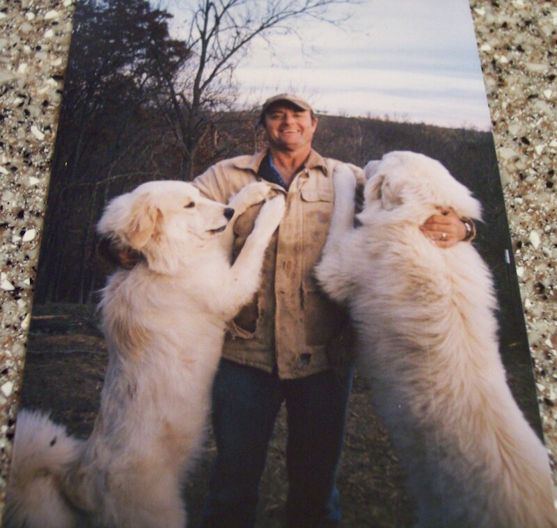 man with two dogs
