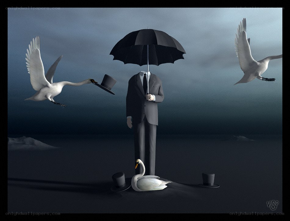 Man with umbrella and swans