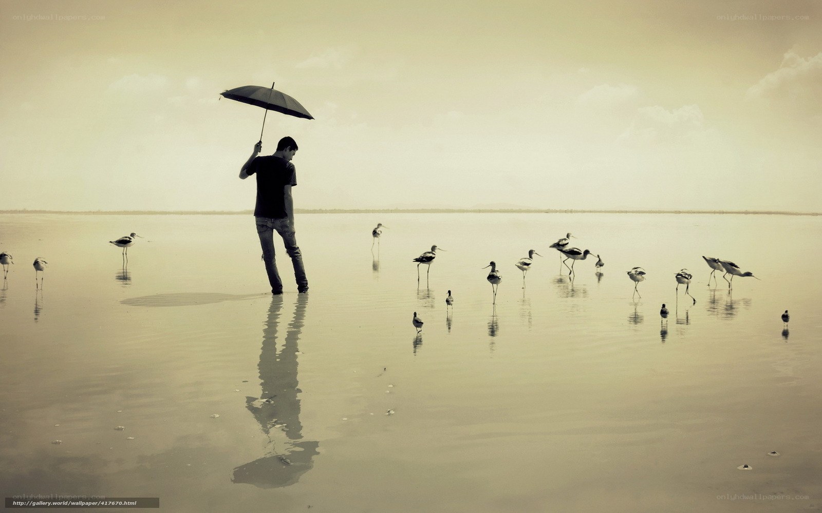 Man with umbrella on beach