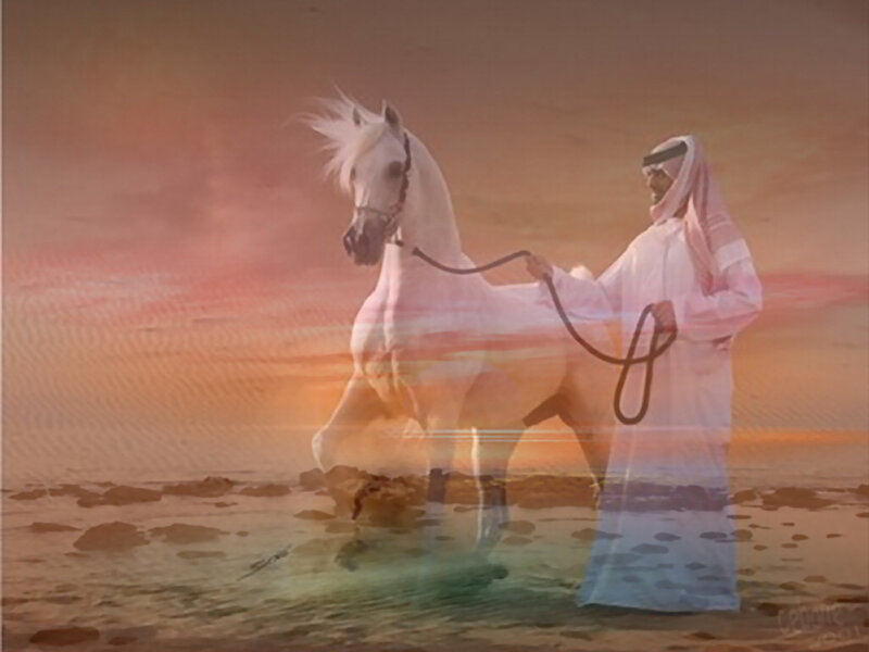 Man with White Horse