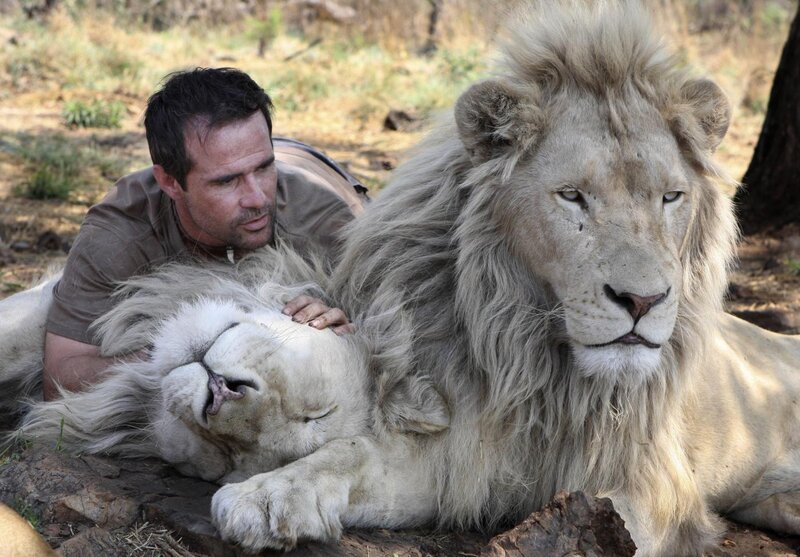 Man with White Lions