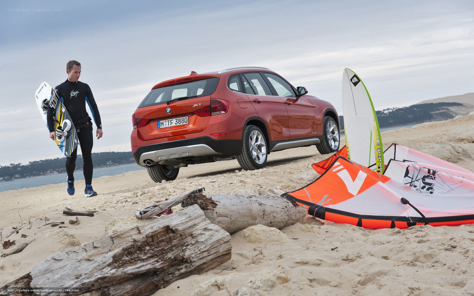 Man with windsurfing gear on beach