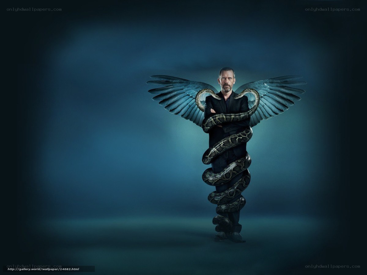 man with wings and snake