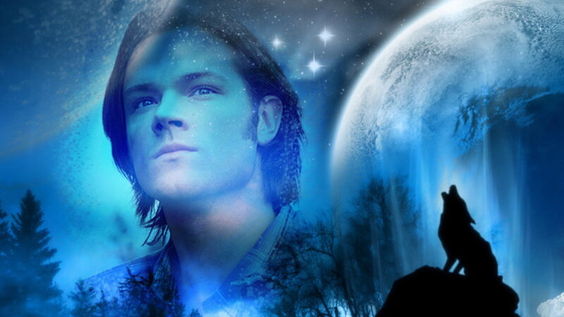 Man with Wolf Silhouette — Blue