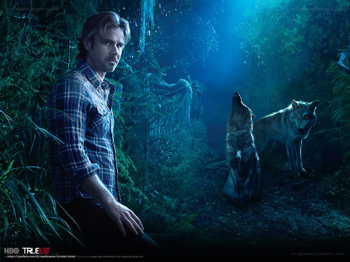Man with wolves in forest