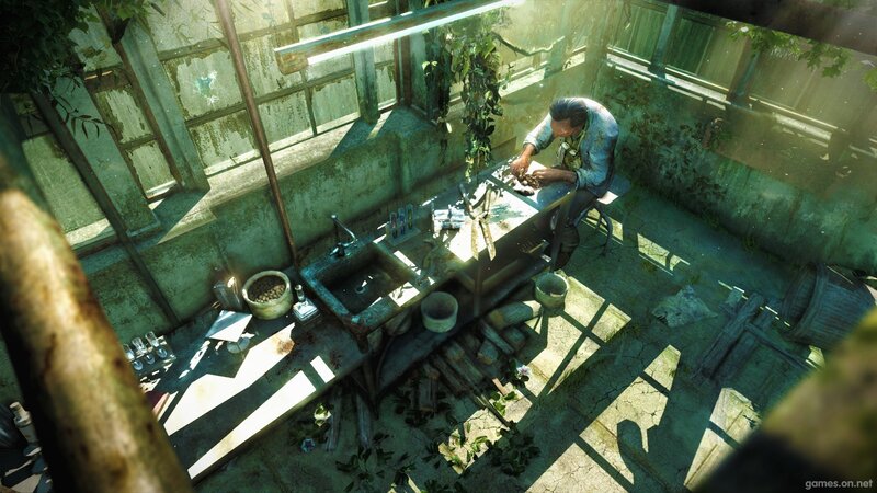 Man Working in Greenhouse