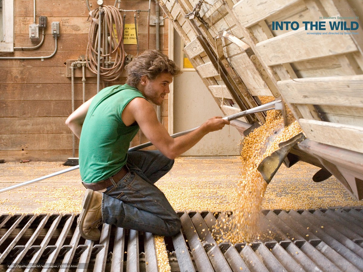 man working with corn
