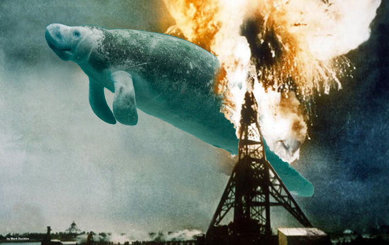 Manatee Near Explosion