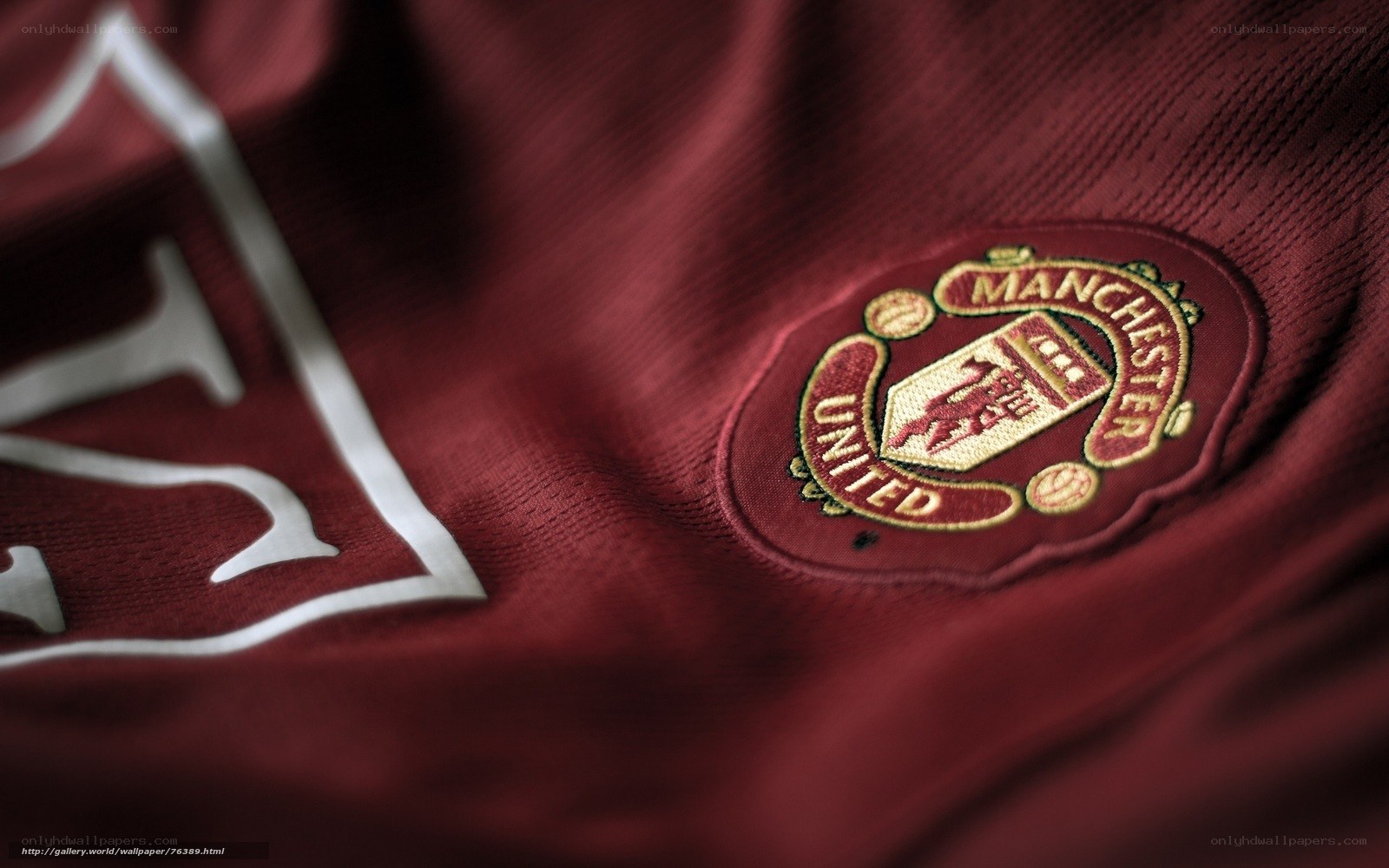 Manchester United crest on jersey