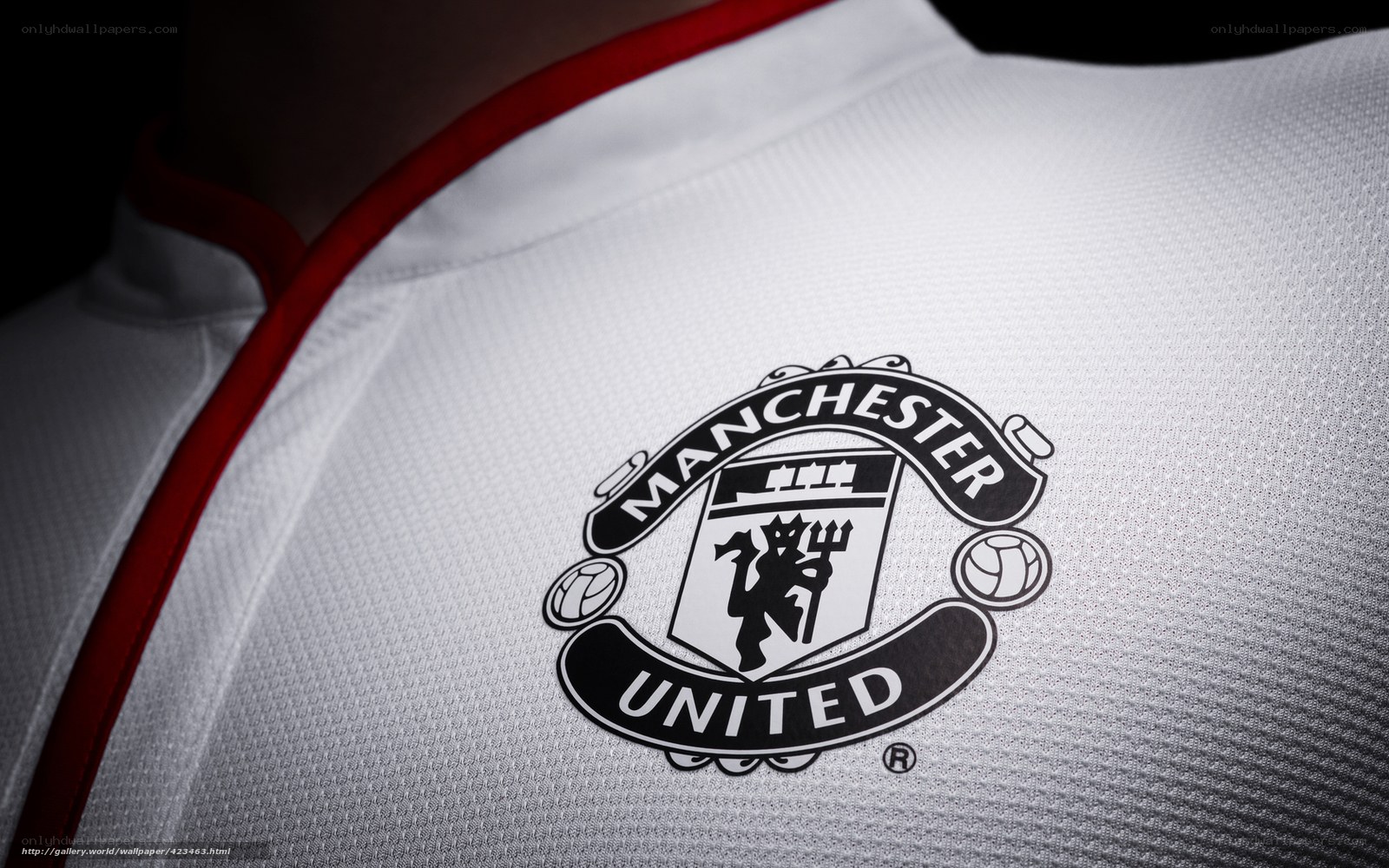 Manchester United jersey close-up