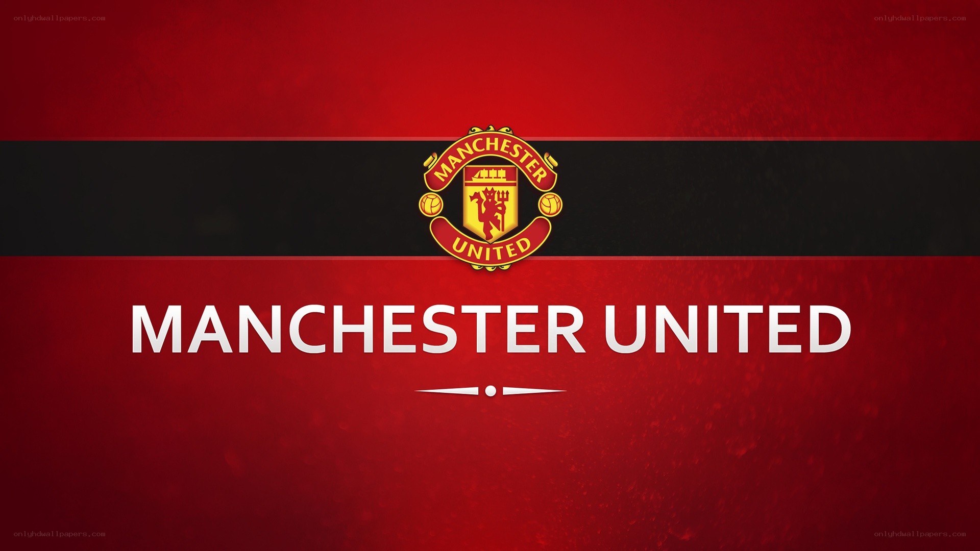 Manchester United logo display