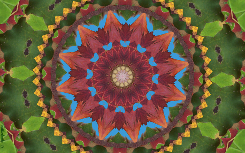 Mandala from Autumn Leaves