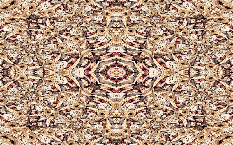 mandala of seashells